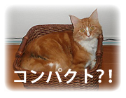 軽量、コンパクトが一番でしょうか?
